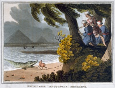 エジプト人、クロコダイル捕り」1813年 作： Matthew Dubourg