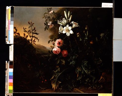 Asetelma, n. 1670 (öljy kankaalle) 作： Matthias Withoos