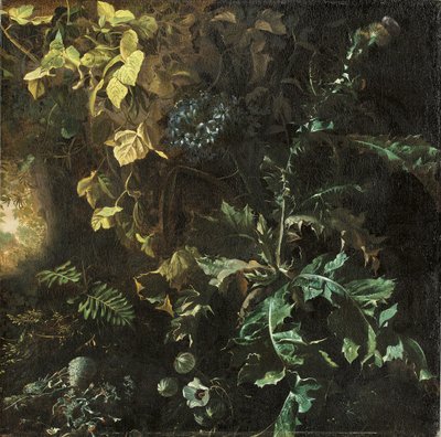 アザミや林床の他の植物、向こうの風景、断片 作： Matthias Withoos