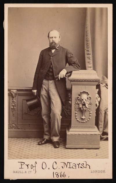 オトニエル チャールズ マーシュの肖像 1831 ～ 1879 年、1866 年。 作： Maull and Co