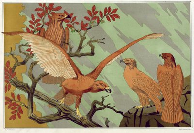 パブ、モーリス・ピラール・ヴェルヌイユの「装飾の中の動物」よりイーグルス。 1897年（カラーリトグラフ） 作： Maurice Pillard Verneuil