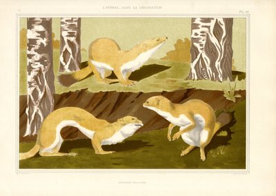  作： Maurice Pillard Verneuil