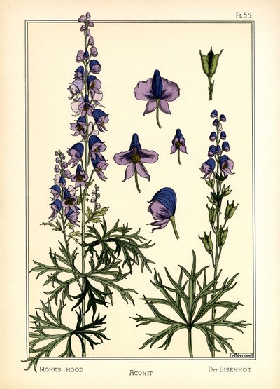 Aconite (カラーリソ) 作： Maurice Pillard Verneuil