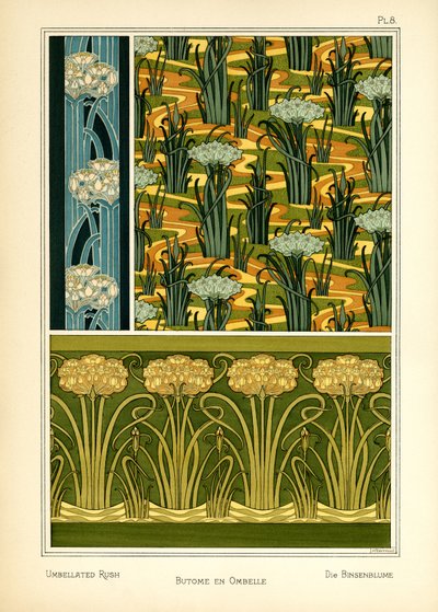 The Umbellated Rush (カラー リソ) 作： Maurice Pillard Verneuil
