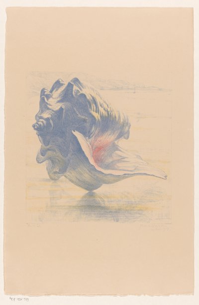 シェル 作： Maurits van der Valk (signed by artist)