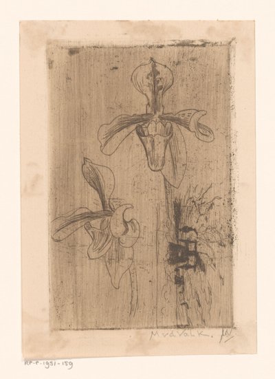 2 つの蘭と浜辺のカート 作： Maurits van der Valk (signed by artist)