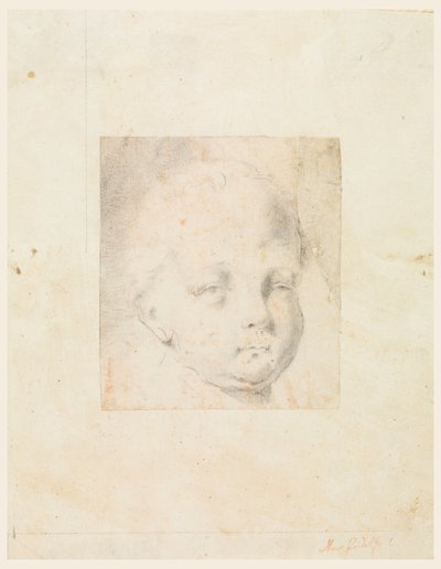 デッサン、習作少年の頭部、1810-34 作： Mauro Gandolfi