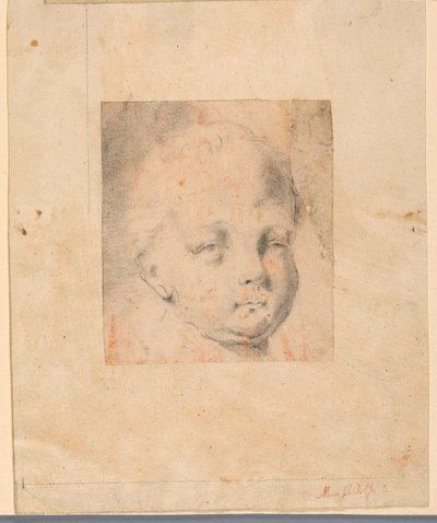 デッサン、習作少年の頭部、1810-34 作： Mauro Gandolfi