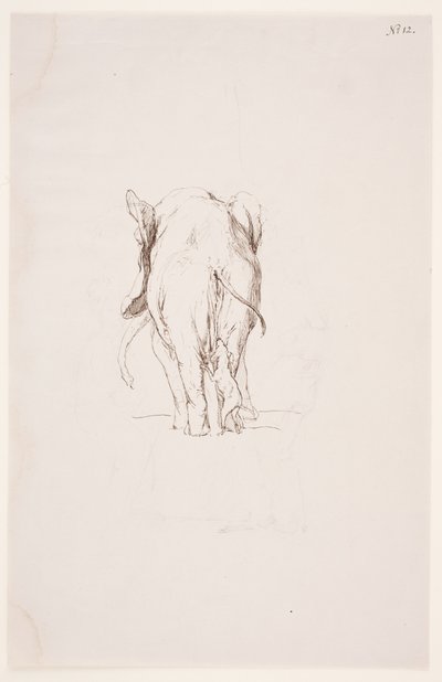 "Weg der Befleckung" - "象と嗅ぎ犬" 作： Max Klinger