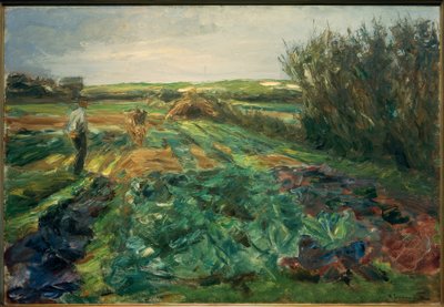 Das Kohlfeld（ノールドワイクのコールフェルド） 作： Max Liebermann