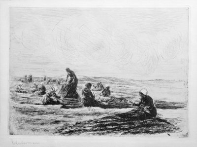 メッシュパッチャー 作： Max Liebermann