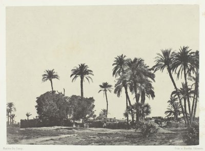 ハマメの村、上エジプト、184951 年、1852 年に印刷。 作： Maxime Du Camp