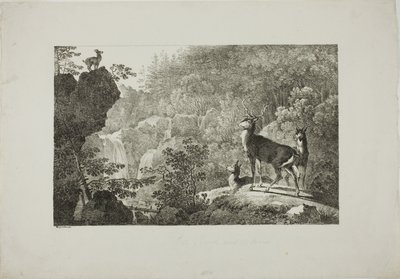 雄鹿とシャモア 作： Maximilian Josef Wagenbauer
