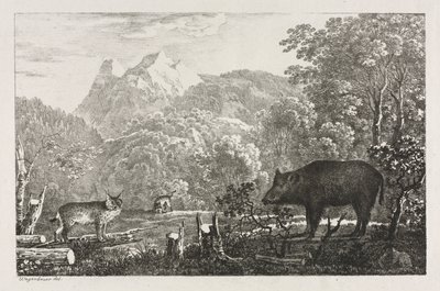 イノシシ、ヤマネコ、オオヤマネコ 作： Maximilian Josef Wagenbauer