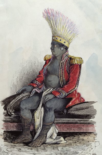 フランスの大佐の制服を着たヌカヒバ島のテモアナ王、1841〜48年頃（紙にペン、インク、トイレ） 作： Maximilien Radiguet