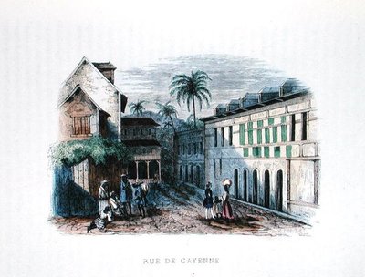 カイエン通り、フランス領ガイアナ、「Les Francais par Eux-memes」（L.Curmer編）の図版 作： Maximilien Radiguet