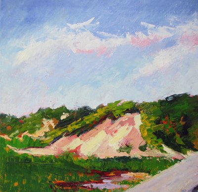 鮮やかな砂丘の風景 作： Maxine Shore