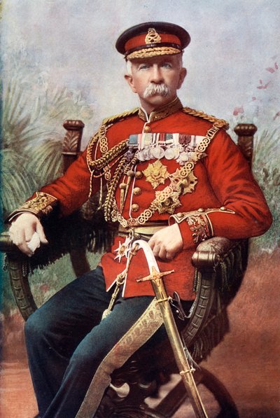 1902 年に英国陸軍元帥であり、ビクトリア十字章を受章したサー ヘンリー エブリン ウッド。 作： Mayall