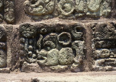 象形文字の階段にあるコパンの街のグリフ、古典的な後期（600〜900年） 作： Mayan