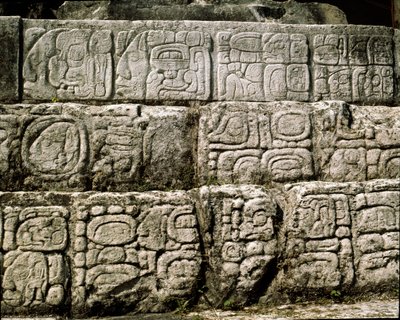 ハウスCのグリフ、宮殿のパティオ2のグリフ 作： Mayan