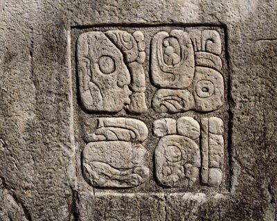 ハウスCのグリフ、宮殿のパティオ2のグリフ 作： Mayan