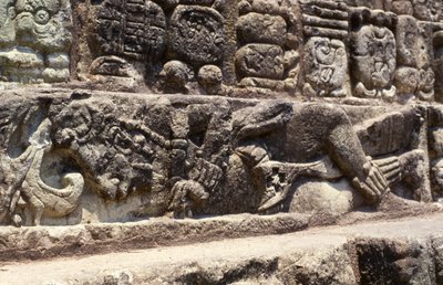 象形文字の階段の階段の囚人、コパン、後期クラシック時代（600〜900）c.760 AD 作： Mayan