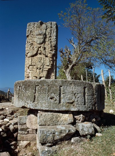 スター5、西暦706年 作： Mayan