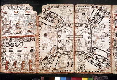 マヤ文明：トロ・コルテシアーノ写本、15世紀半ば（バークベジタブル・ファイバー） 作： Mayan Mayan