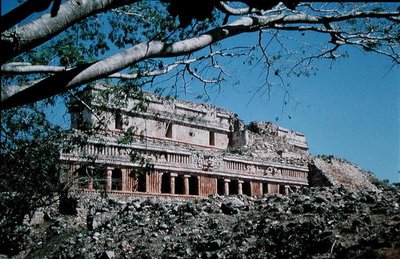 大宮の眺め（写真） 作： Mayan Mayan