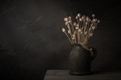 暗いケシの実の静物画 作： 