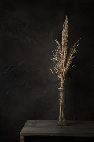 陰影のある乾燥した草 作： 