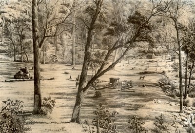 無料のセレクターの小屋、オーストラリア、1879 作： McFarlane and Erskine