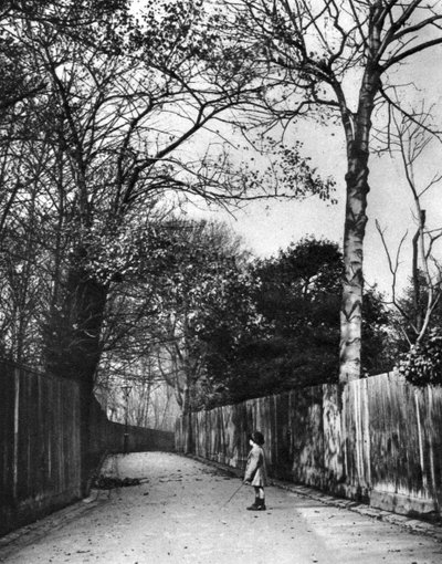 ホランドウォーク、ロンドン、1926-1927年の秋の時間。 作： McLeish