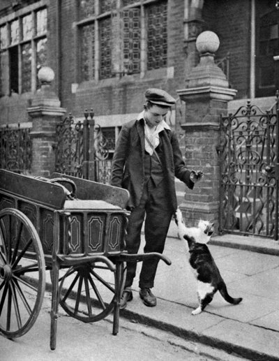 キャッツミートマン、ロンドン、1926-1927 作： McLeish