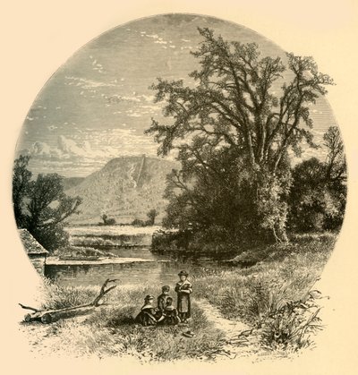 「ノーサンプトン メドウズ」、1874 年。 作： Meeder and Chubb