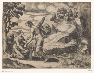 金星はプシュケを竜に守られた井戸に送る 作： Meester van de Dobbelsteen