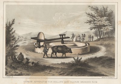 籾殻と粗挽き米のための中国の装置、1855 作： Meffert
