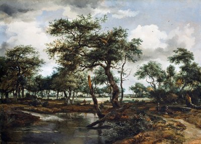 森の池、1668年（オークパネルに油彩） 作： Meindert Hobbema