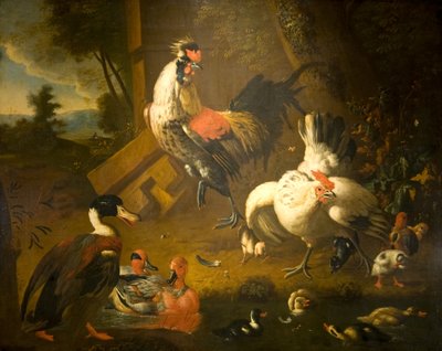 めんどりと 3 羽のアヒルがいるおんどり 作： Melchior de (studio of) Hondecoeter