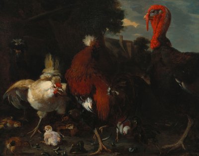 農場の鶏、鶏、トルコ 作： Melchior de Hondecoeter