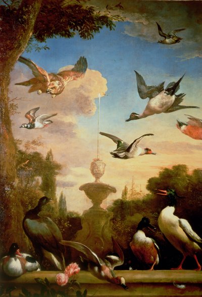 古典的な庭園の風景の中のマガモとイヌワシ 作： Melchior de Hondecoeter