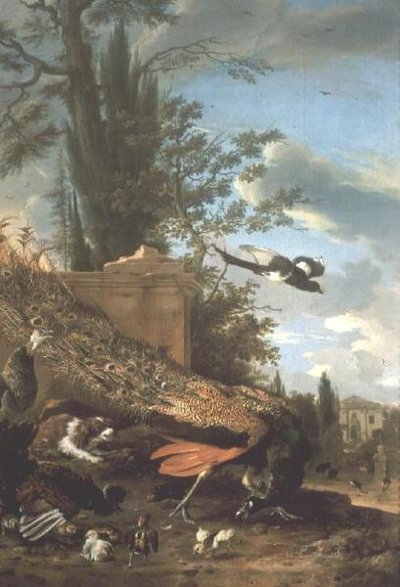 邸宅の庭にいる孔雀とスパニエル 作： Melchior de Hondecoeter