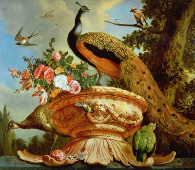 装飾的な壺の孔雀 作： Melchior de Hondecoeter