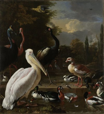 1680年頃、「浮遊する羽」として知られる、プールの近くのペリカンと他の鳥 作： Melchior de Hondecoeter