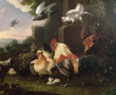 風景の中のおんどりと他の家禽 作： Melchior de Hondecoeter