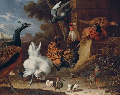 屋敷の公園の壁のそばでおんどり、鶏、ひよこ、ヤマウズラ、キジ、孔雀、鳩 作： Melchior de Hondecoeter