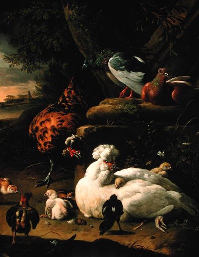 雌鶏と雛、雄鶏と鳩のいる風景（油彩・キャンバス） 作： Melchior de Hondecoeter