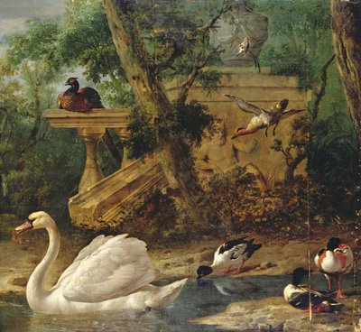 庭の鳥（油彩・キャンバス） 作： Melchior de Hondecoeter