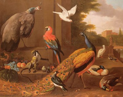 風景の中の鳥 作： Melchior de Hondecoeter