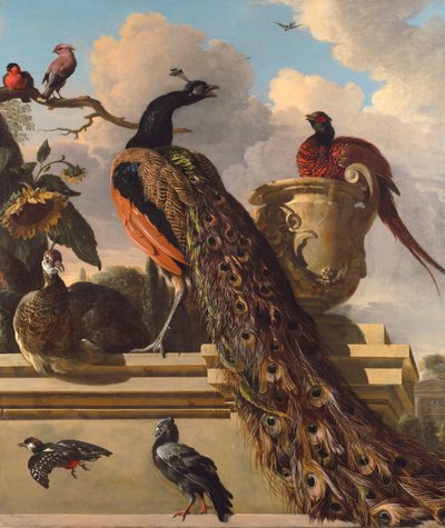 公園の鳥 作： Melchior de Hondecoeter